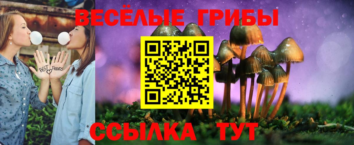 Галлюциногенные грибы мицелий  Вход с VPN  Псилоцибиновые грибы MAGIC MUSHROOMS  Дмитров 